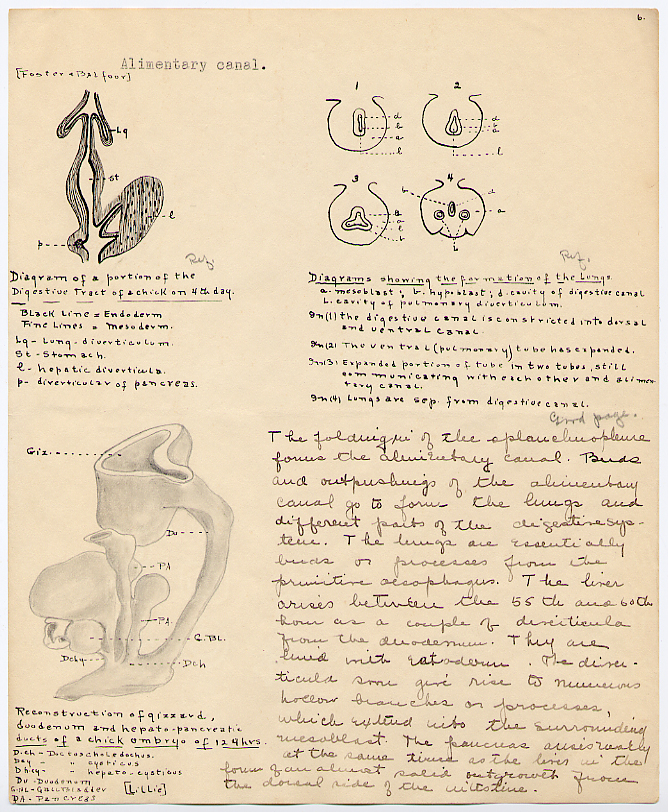 [Zoology Report]