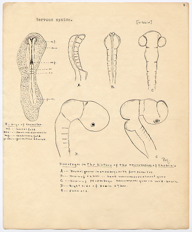 [Zoology Report]