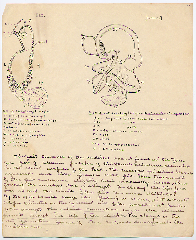 [Zoology Report]