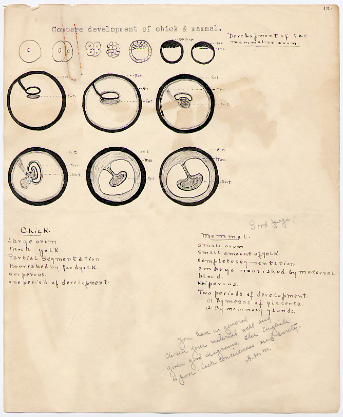 [Zoology Report]