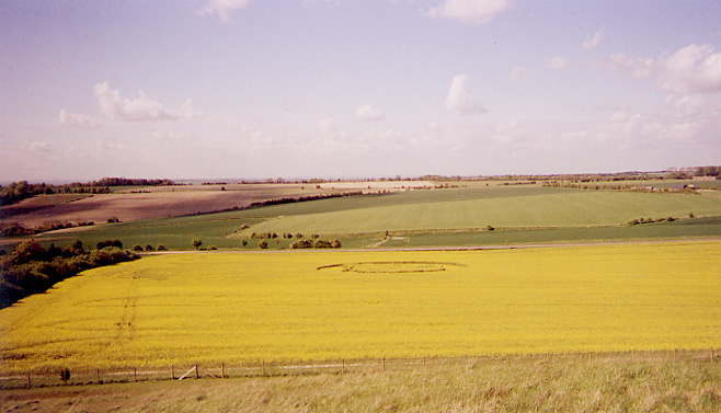 [Crop Circle]