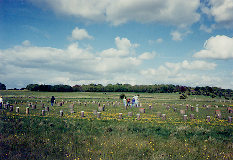 [Woodhenge]